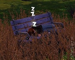 How to be Homeless in the Sims - a Truly Great Tale